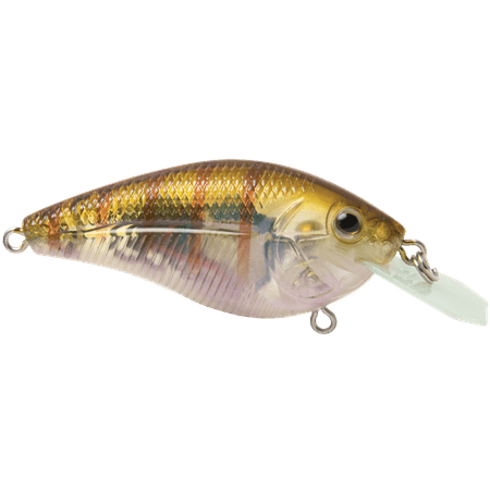 UPC: 0848927039358 | Primetyme CB 1.5