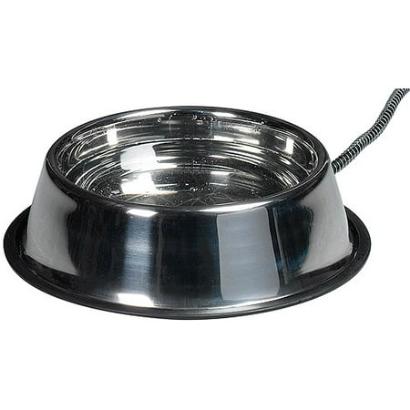 heated bowl allied precision sb50 50w stainless steel heated pet bowl walmart heated bowl allied precision sb50 50w stainless steel heated pet bowl walmart