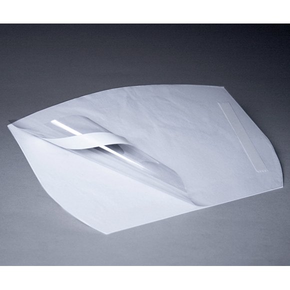 3M Versaflo 37302-case Housse de Visière Extensible S-922, pour Assemblages S-600 S-700 et S-800 40 Unités/caisse, Transparent (Lot de 40)
