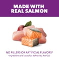 thumbnail image 5 of IAMS Advanced Health Skin & Coat Adult Dog Food Dry Chicken & Salmon Recipe, 36 lb. Bag, 5 of 11