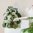 thumbnail image 3 of Watering Can for Indoor and Outdoor Plants 1/2 Gallon Plastic, Long Spout with Detachable Shower Spray Head, Water Can for Plants, Garden, Flower, Office(2.0L Whtie), 3 of 7