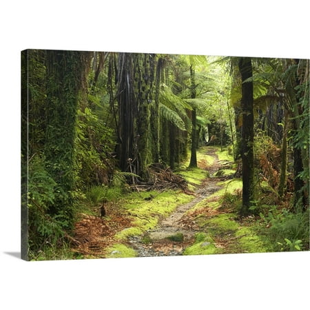Great BIG Canvas | David Wall Premium Thick-Wrap Canvas entitled Fox River, Paparoa National Park, West Coast, South Island, New