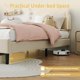 thumbnail image 3 of Yeshouse cama de plataforma terciopelo Princess, cabecera LED inteligente, cajón de almacenamiento, soporte de listones de madera, sin muelle de caja, 3 of 9