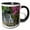Black/White, variant on 3drose, Oregon, Portland, Mallard Ducks Pair on Rocks Next to Waterfall., 11oz Two-tone Green Mug