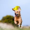 thumbnail image 3 of Western Cowboy Pet Hat with Adjustable Design for Cats and Dogs, 3 of 7