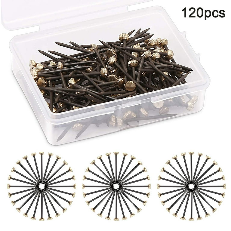 120 Pieces Picture Nails Brass Head Pins Hardened Photo Hooks Coat Hanger Wall Pins 25mm Long, Nail Hook Pins with Plastic Storage Box Picture Nails