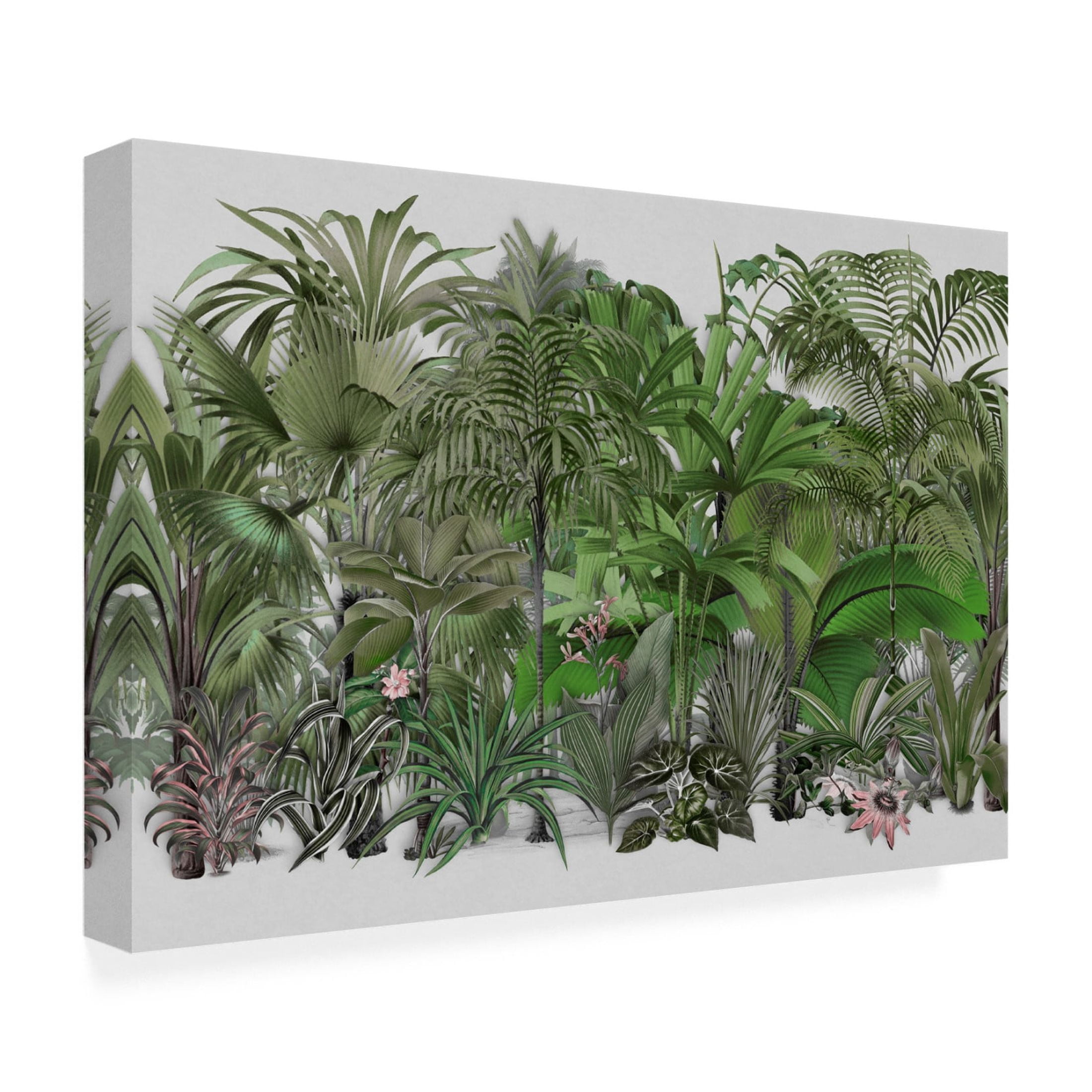 Trademark Fine Art Andrea Haase Exotic Wildlife 003 1 Canvas Wall Art