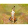 thumbnail image 2 of Robertson, Leda 32x25 Gold Ornate Wood Framed with Double Matting Museum Art Print Titled - The Flower Dance IV, 2 of 4