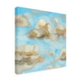 thumbnail image 2 of Melissa Wang 'Floating Clouds II' Canvas Art, 2 of 3