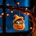 thumbnail image 5 of HonstMatter Pumpkin Hanging Ornament, Sleeping Animal With Witch Hat For Halloween Tree, Cute Shelf And Window Decoration, 5 of 7