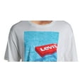 thumbnail image 2 of Levi Strauss & Co. Mens Floater Graphic Crew Neck T-Shirt, 2 of 3