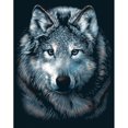 thumbnail image 2 of Reeves Wolves Scraperfoil, 2 of 2
