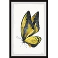 thumbnail image 2 of "Black and Yellow Mariposa" Framed Painting Print, 2 of 6