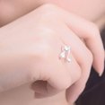 thumbnail image 4 of Anillo de gato sombrío, estilo japonés y coreano, estilo Mori, anillo abierto de gatito dulce, anillo de comida de estrella de gato fresco y lindo, 4 of 5