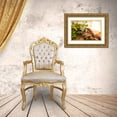 thumbnail image 3 of Millet, Karyn 24x17 Gold Ornate Wood Framed with Double Matting Museum Art Print Titled - Bouquet I, 3 of 4
