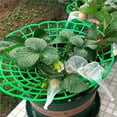 thumbnail image 6 of Horticultural Potted Plant Racks Planting Racks Sunflower Racks Potting Support Protection, 6 of 6