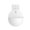 White C, variant on Giunmcul Online Shopping Wall-Mounted Pot Hydroponics Flower Pot Wall Hanging Fish Tank Hanging Vase