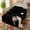 Black (Plush Corduroy), variant on Ovios 67''x48'' Oversized Chaise Lounge Chair Indoor No Assembly Required Cloud Plush Corduroy Upholstered Sofa Bed Cozy Sleeper Couch for Living Room, Black