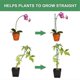 thumbnail image 3 of Plant Stakes Sets, Plant Sticks with Connect Pipe for Indoor and Outdoor Plants, Green Adjustable P, 3 of 4