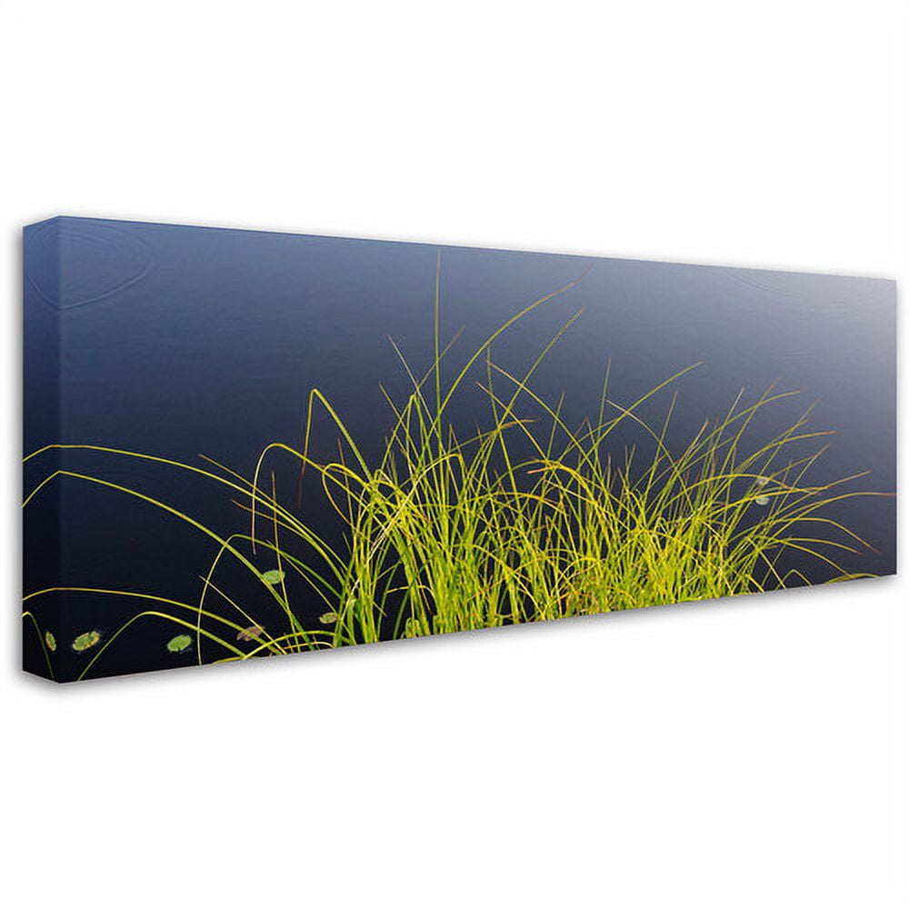 Trademark Fine Art "Pond Grass Abstract" Canvas Art by Kurt Shaffer