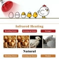 thumbnail image 2 of WJCA 250W Infrared Heat Lamp Bulbs 2PCS, Efficient Heating Solution for Chicks, Reptiles and Pets, High-Performance Incandescent Heat Lamp for Versatile Warmth Needs, Red, Chicken Coop, PAR38, E26 Bas, 2 of 6
