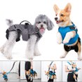 thumbnail image 4 of Arnés para caminar para perros 4 en 1 Arnés para perros Arnés para chaleco reflectante, 4 of 8