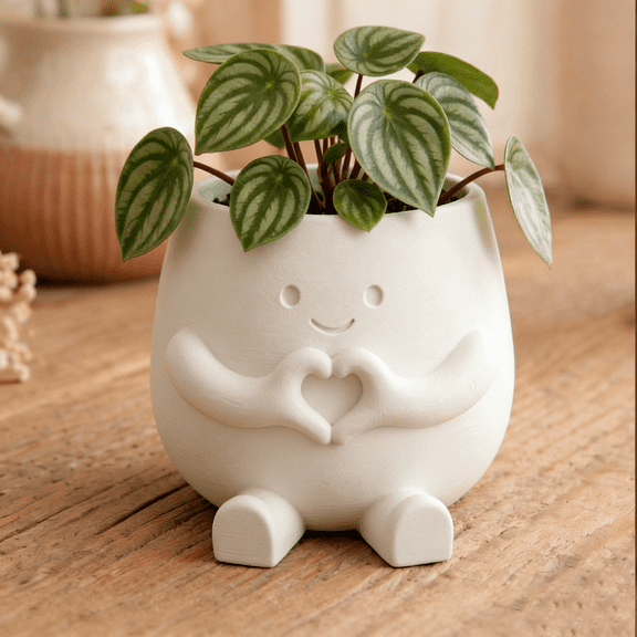 3D Printed Flower Pot for Pennywort & Succulent Plants Lightweight Plastic Planter Modern Home Decor Indoor/Outdoor Suitable