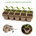thumbnail image 3 of Kit De Macetas De Inicio De Semillas, 12 Uds., Bandeja De Semillas Biodegradable De 10 Agujeros, Macetas De Turba Con 2 Uds. De Plántulas, 12 Uds. De Etiquetas Para Plantas En Forma De T Scienceny HA034893-00, 3 of 5