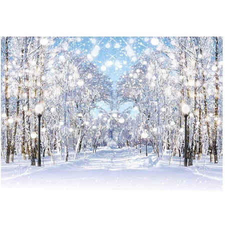 Winter Forest Landscape Photography Backdrop Snow Scene Wonderland Background Snowflakes Tree Road Bokeh Glitter Baby Shower Birthday Party Portrait Decor Photo Booth Studio Banner 7x5ft Walmart Canada