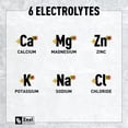 thumbnail image 4 of Zealot Electrolyte Powder - 90 Servings | Keto Electrolytes | Zero Sugar | Passion Fruit Orange Guava, 4 of 8