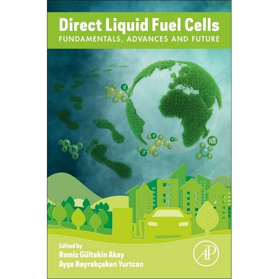 Direct Liquid Fuel Cells: Fundamentals, Advances and Future, (Paperback)