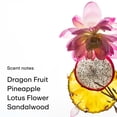 thumbnail image 3 of Bruma corporal PHLUR Dragon Fruit - Bruma para cabello y cuerpo - Fragancia de Dragon Fruit, peonía, sándalo y vainilla (236 ml), 3 of 5