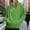 Light Green, variant on IMENGL Women's long sleeve fleece half zip up hooded sweatshirt, Purple L, Size M-3XL