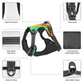 thumbnail image 5 of TEQUAN Medium Dog Harness with Leash, Dazzling Color Liquid Painting Prints Reflective No Pull Adjustable Pet Vest (M), 5 of 7