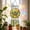 D, variant on Acrylic Birds Sun Catcher, 7.4 Inch Stained Glass Window Decoration Puzzle, Colorful Light Refractor for Home Garden