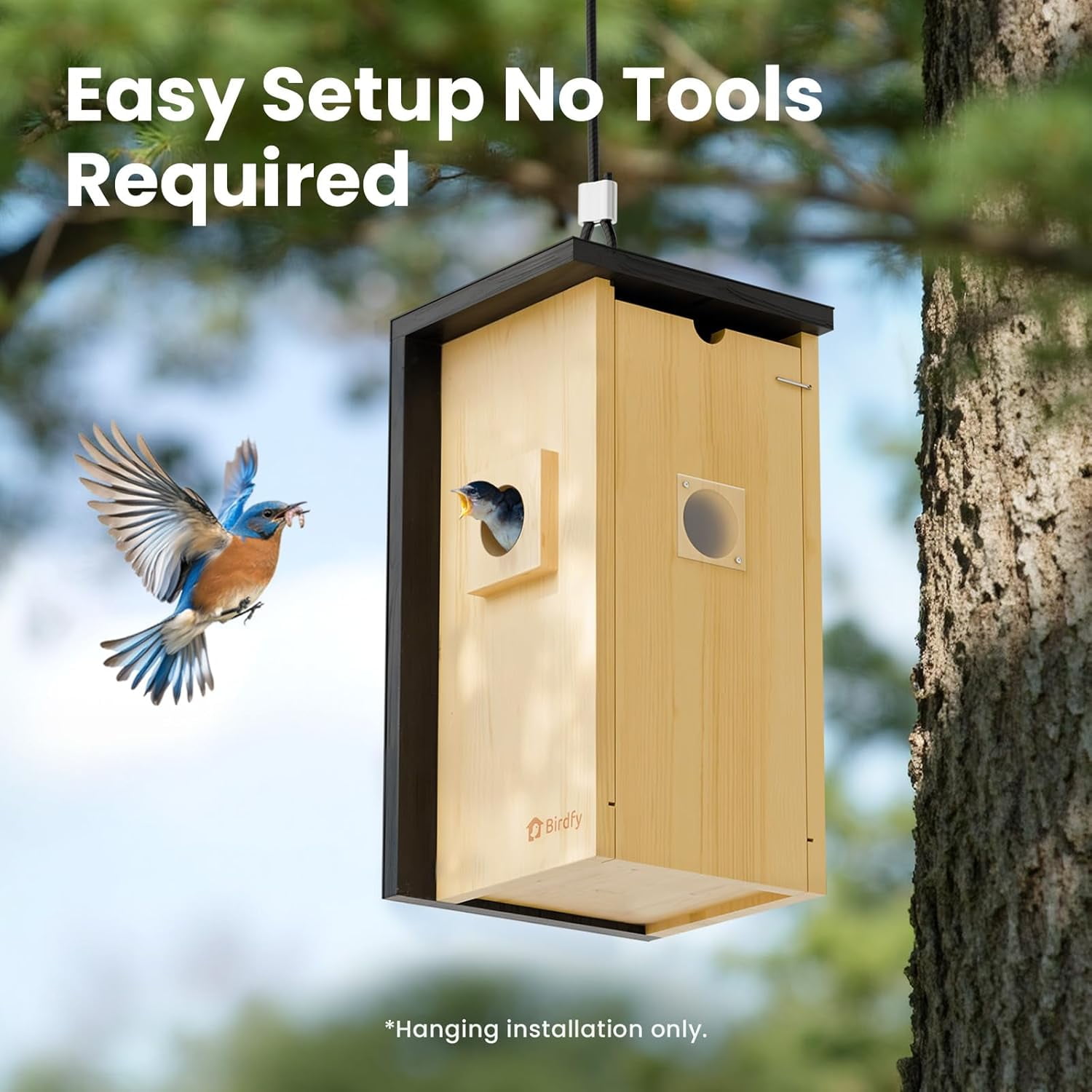 Birdfy Smart Bird Houses With 1080P HD Bird Feeder Camera, Perfect Viewing Bird Nesting and Hatching, Gift for Bird Lover