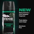 thumbnail image 3 of AXE Fine Fragrance Collection Body Spray 72 Hour Freshness Emerald Sage Aluminum Free, 2.9 oz, 3 of 10