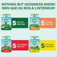 thumbnail image 2 of GoGo squeeZ Fruit Sauce Snack Pouches Variety Pack, Apple Apple, Apple Strawberry, Apple Peach, Apple Banana, No Sugar Added. 90g per pouch, 20 Pouches, 2 of 7