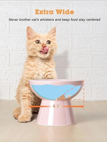 Elevated Cat Food and Water Bowls Set, Extra Wide and Raised Ceramic Feeder, Anti-Vomit Whisker-Free Pressure Feeding Bowl for Kittens Adult Cats Small Dogs(Pink, Food Bowl)