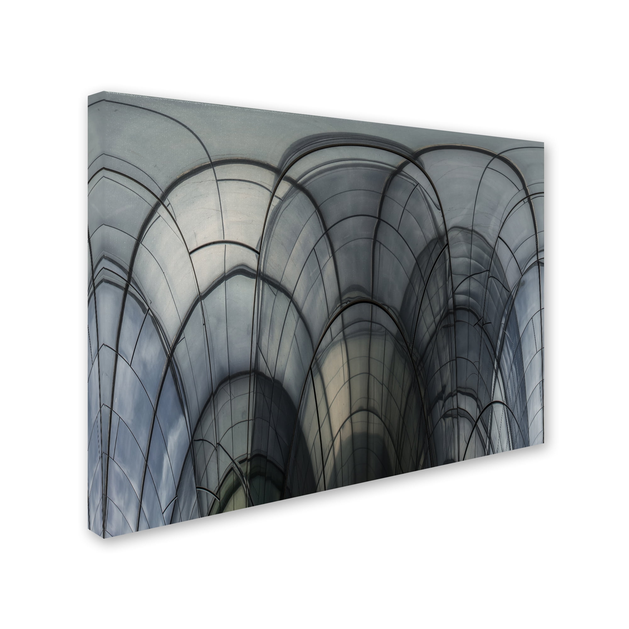 Trademark Fine Art 'Cobweb Cathedral' Canvas Art by Luc Vangindertael
