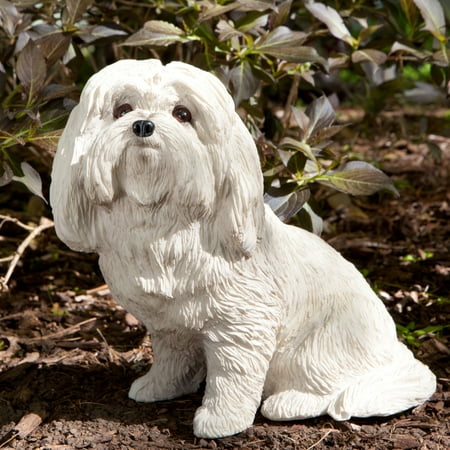 Sandicast Original Size Maltese Sculpture
