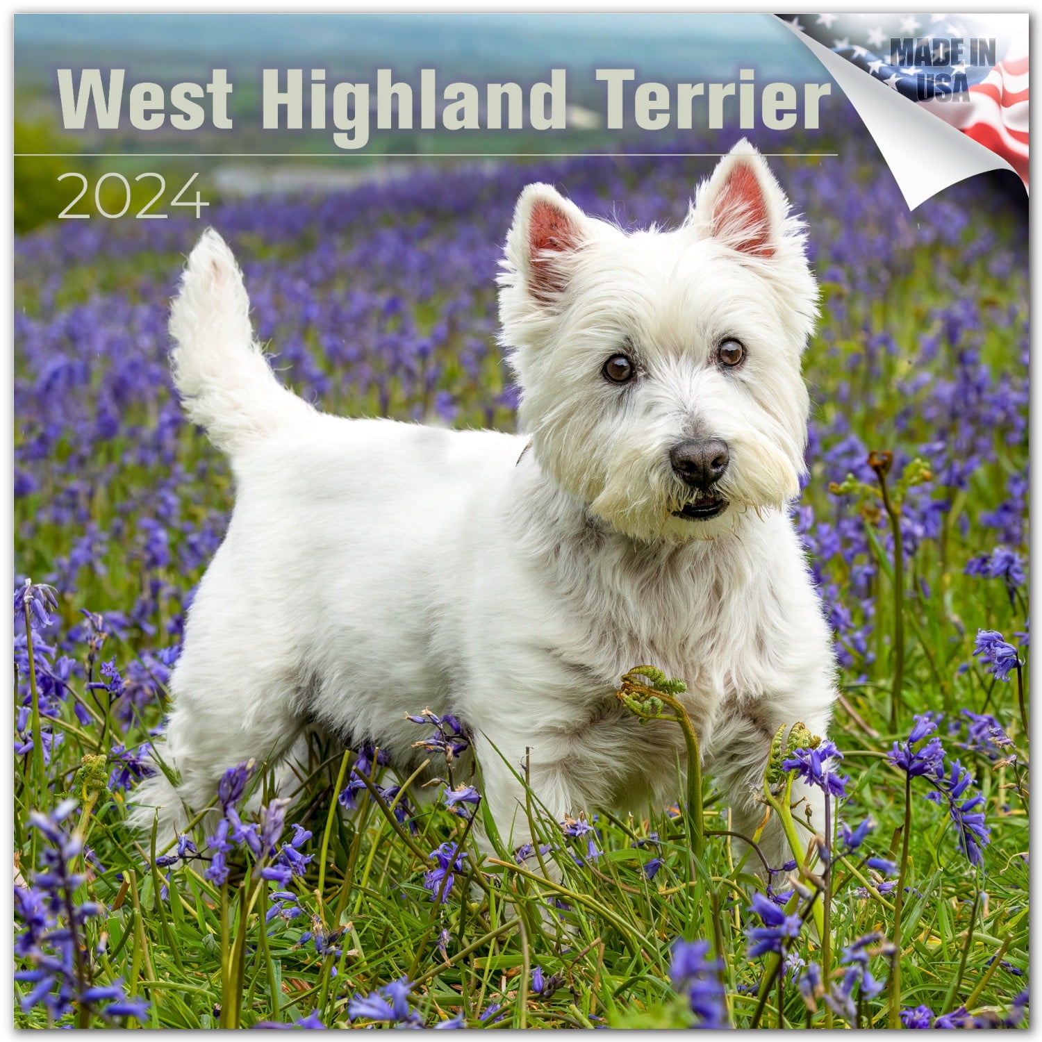 Highland White Terrier Calendar West Highland Terrier Prices 2026