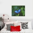 thumbnail image 4 of Zufioo Blue Morpho butterfly Print Canvas Decorative Painting with Solid Wood Frame Art Decoration, Suitable for Home and Office Wall Decoration, 4 of 6
