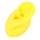 thumbnail image 4 of Modelo De Oreja Modelo De Oreja Humana Modelo De Oreja De Silicona Simulación De Silicona Suave Modelo De Oreja Humana Izquierda Pantalla De Oreja Modelo De Ayuda Para La ANGGREK  Otros, 4 of 8