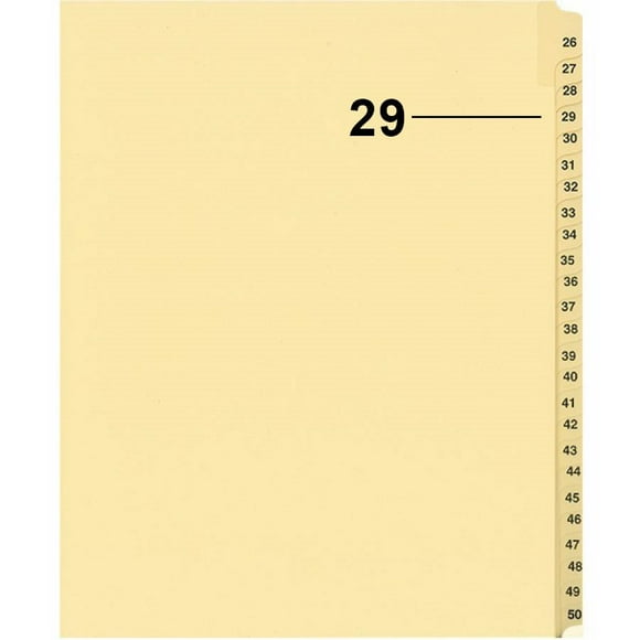 Davisgroup B1125-29 Index Numérique Individuel pour Contentieux 29 - 1 Chacun