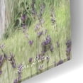 thumbnail image 3 of Epic Art 'Lavender Outhouse' by Lori Deiter Acrylic Glass Wall Art, 16"x24", 3 of 8