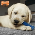 thumbnail image 4 of Nylabone Puppy Starter Pack - Up to 25 lbs., 4 of 16