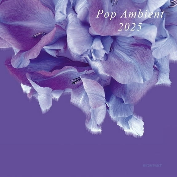 Various Artists - Pop Ambient 2025 - Music & Performance - CD