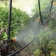 thumbnail image 5 of Sistema de riego por goteo de 10m, riego automático, Kit de manguera para agricultura, invernadero y jardín, 5 of 14