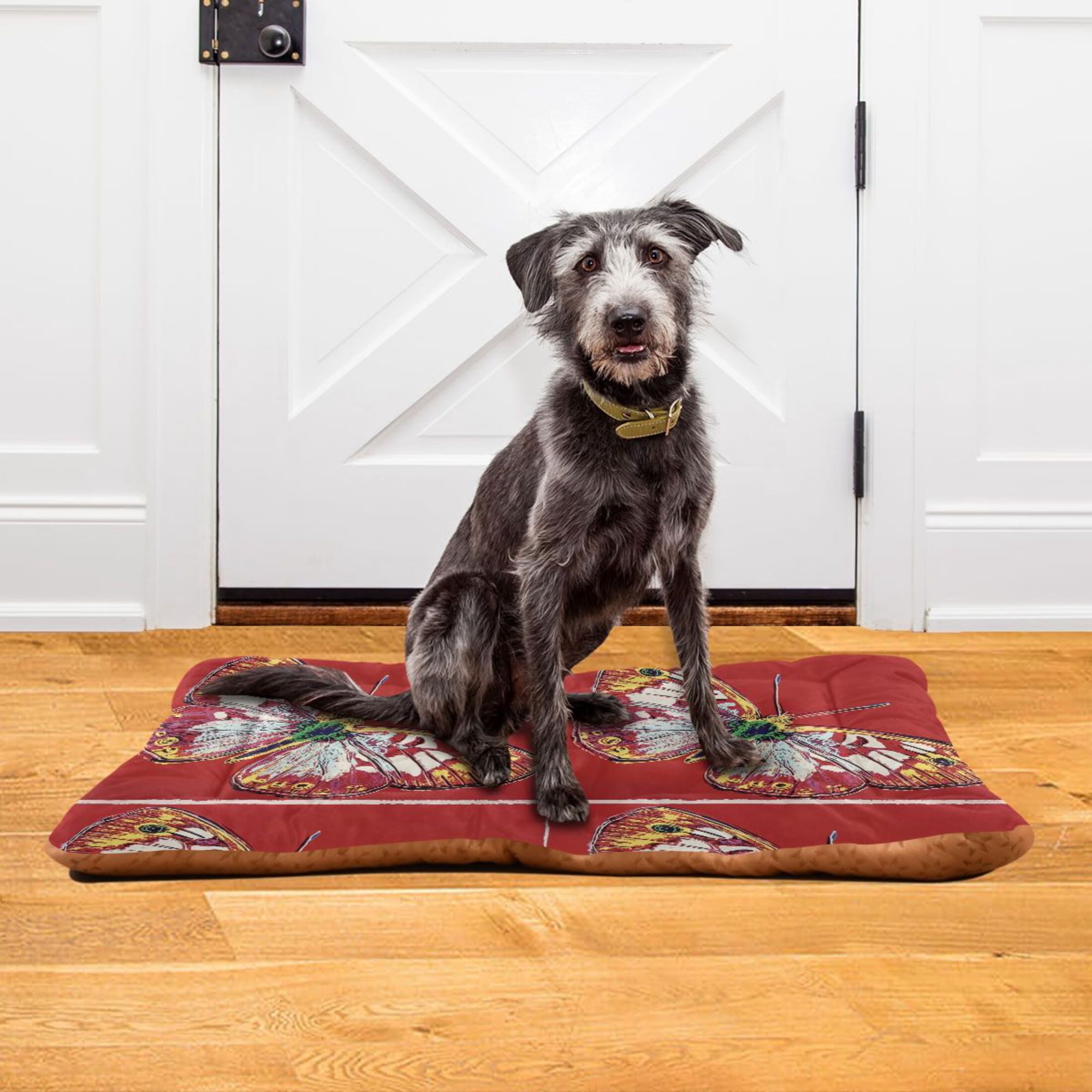 Iauyy 18x24inch Washable Dog Bed Mats 4cm Thick Comfort Pet Bed with Non-Slip Bottom for Crates Indoors & Outdoors - Puppy Essentials The Colorful Moths